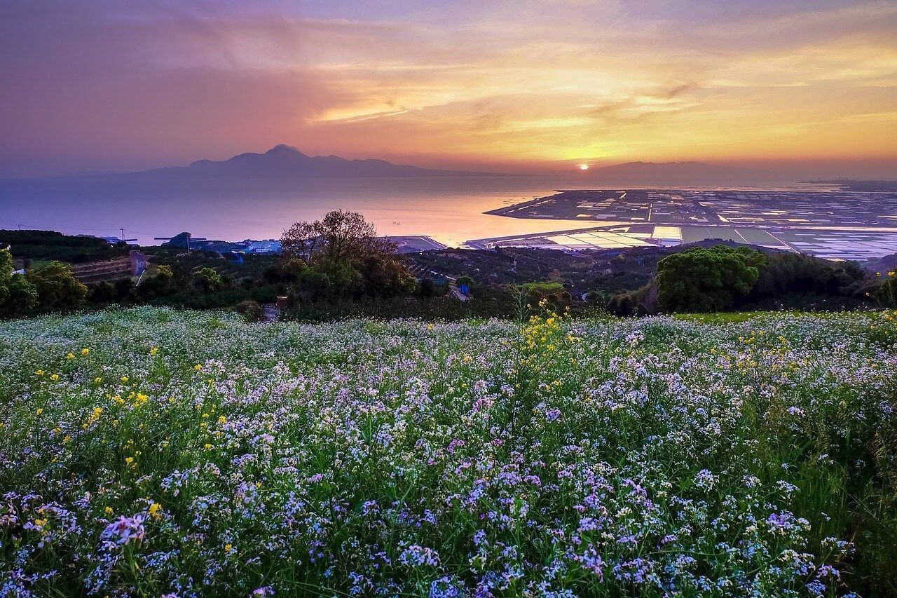 Панорама Японии - Тур Весеннего Цветения, апрель