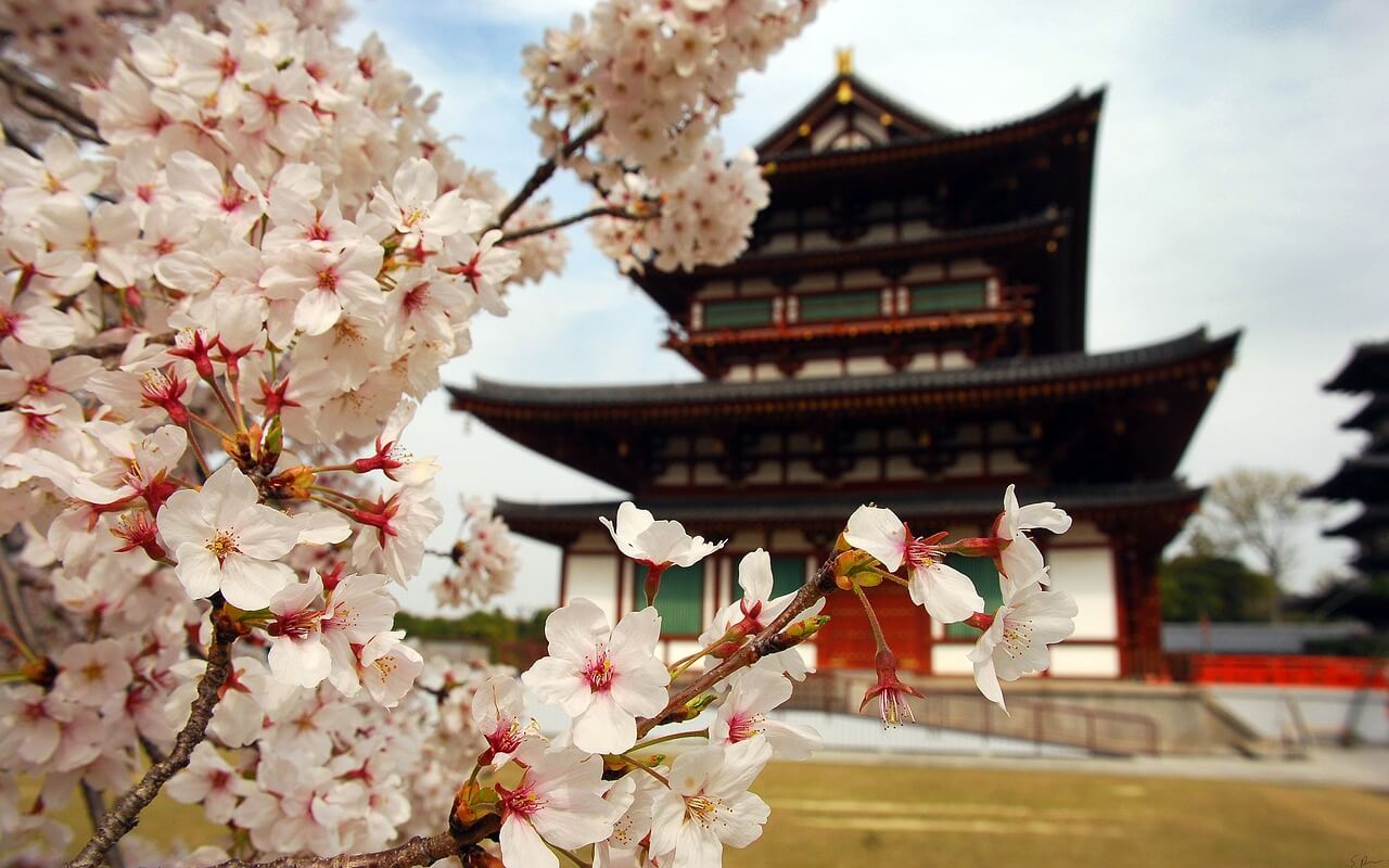 Япония – Цветение сакуры на севере с Алекс Эшвинд, прямой полет - купить  организованный тур ✓Цена ✓Программа ✓Описание