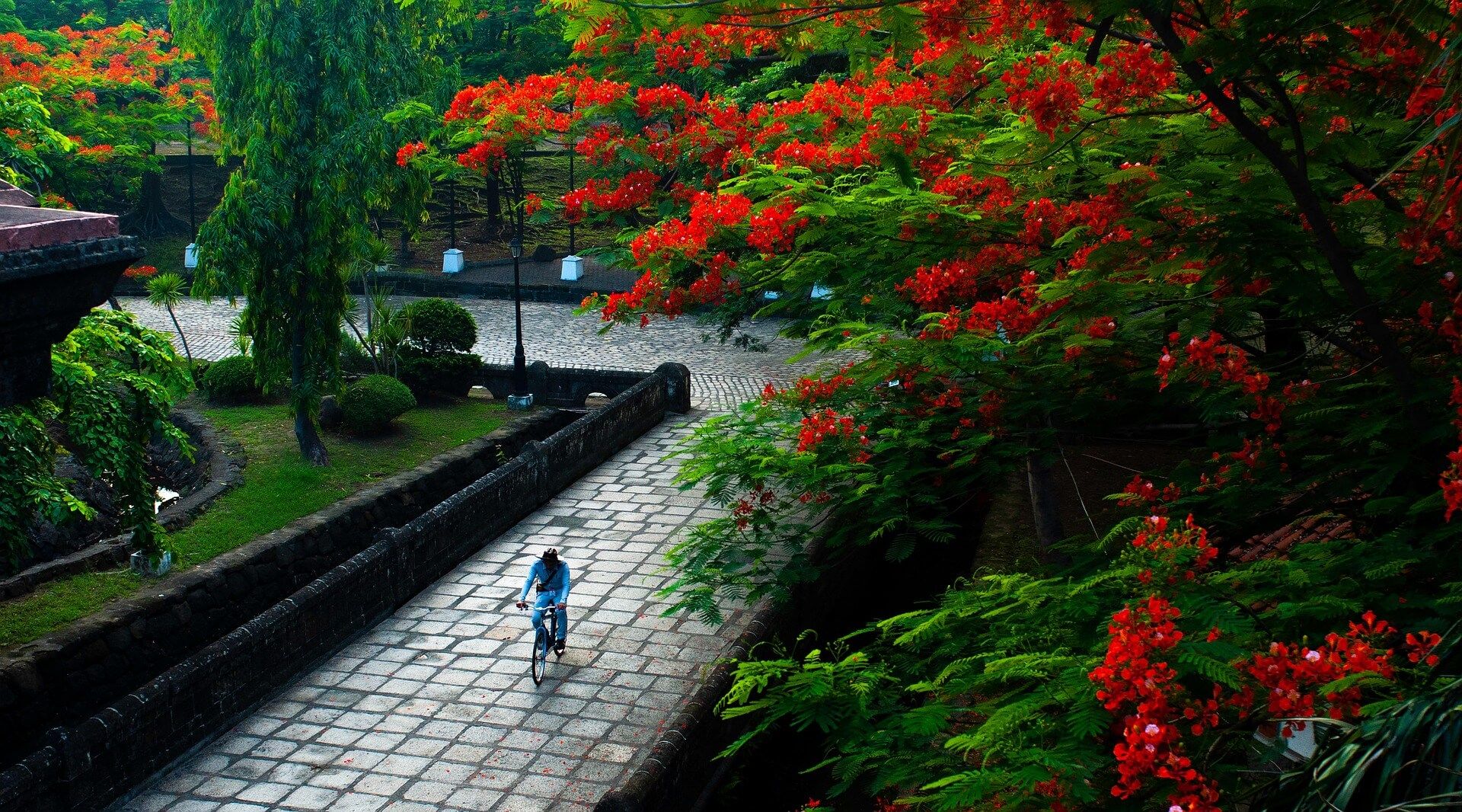 Филиппины – чудо-острова. Себу, Бохоль и Лусон, 14 дней