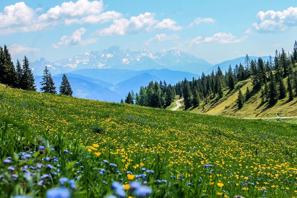 Швейцария - Альпийская сказка, 8 дней
